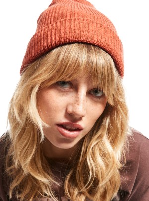 Beanies Roxy Island Fox | DTVA-87620