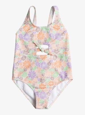 Dívčí Plavky Roxy All About Sol One-Piece | TCLS-70239