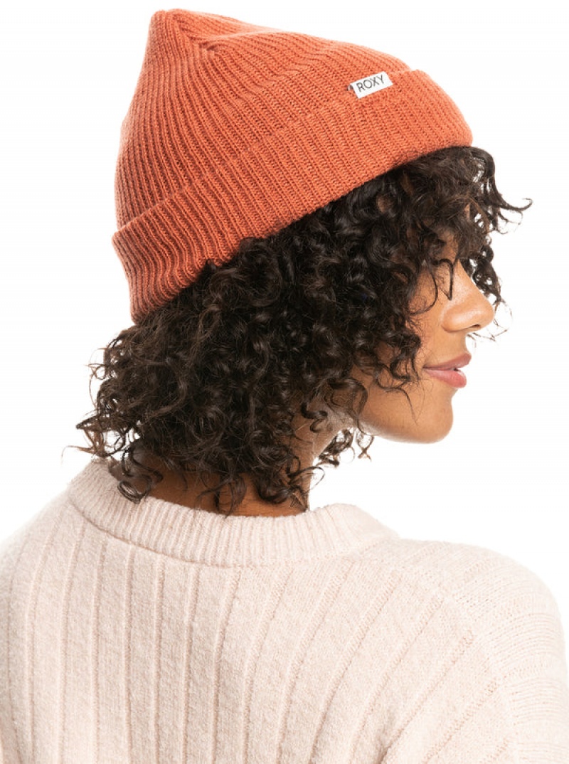 Beanies Roxy Island Fox | DTVA-87620