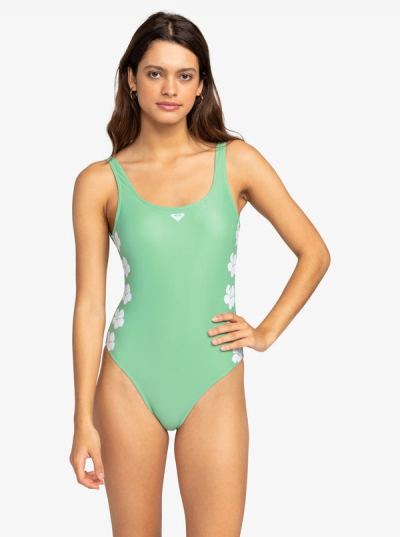 Plavky Roxy OG One-Piece | WTXE-52678