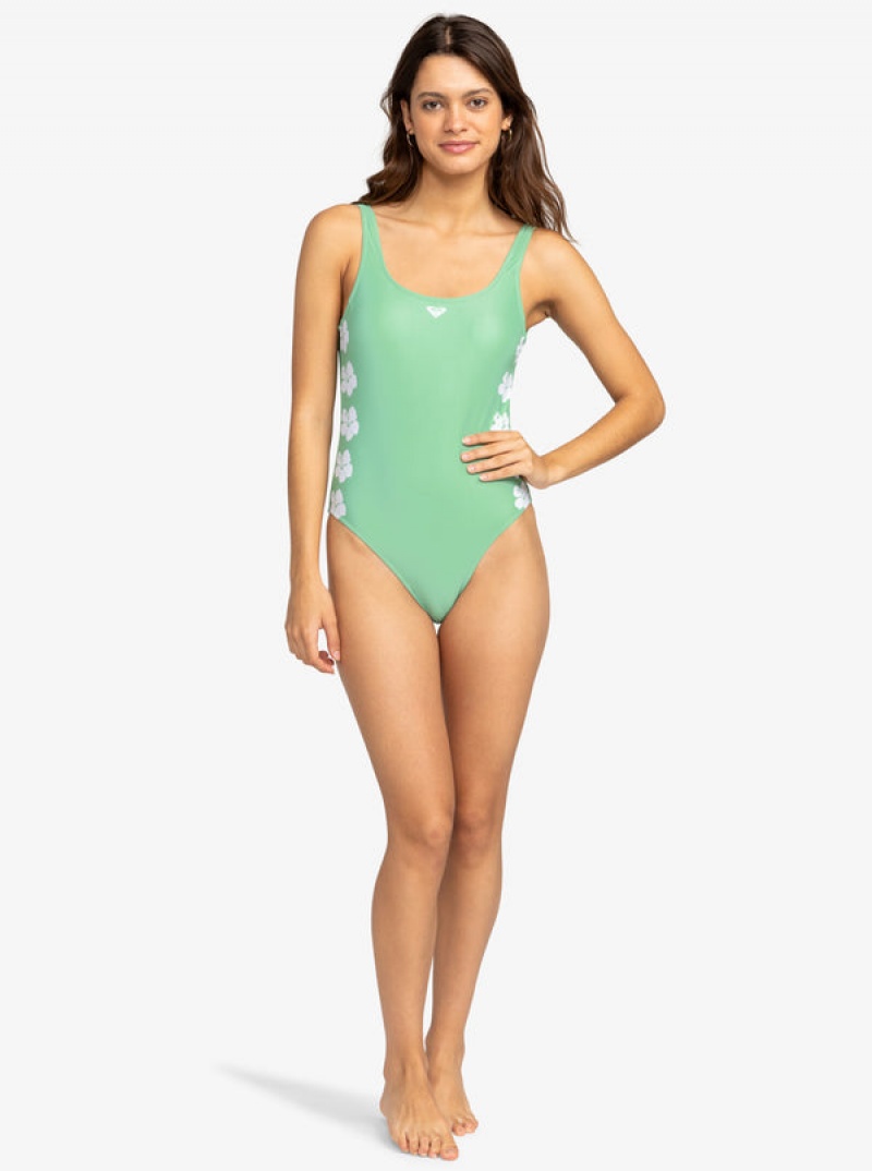 Plavky Roxy OG One-Piece | WTXE-52678