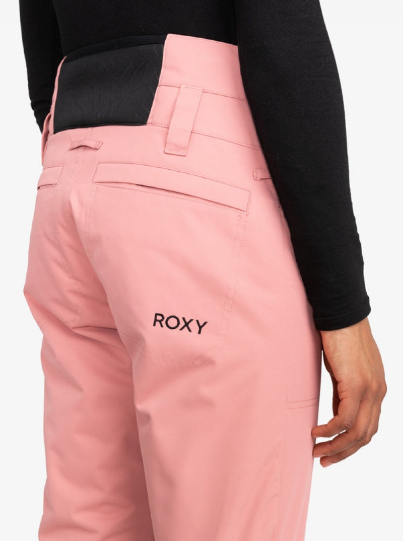 Snowboardové Kalhoty Roxy Diversion Technical | VUNS-60912