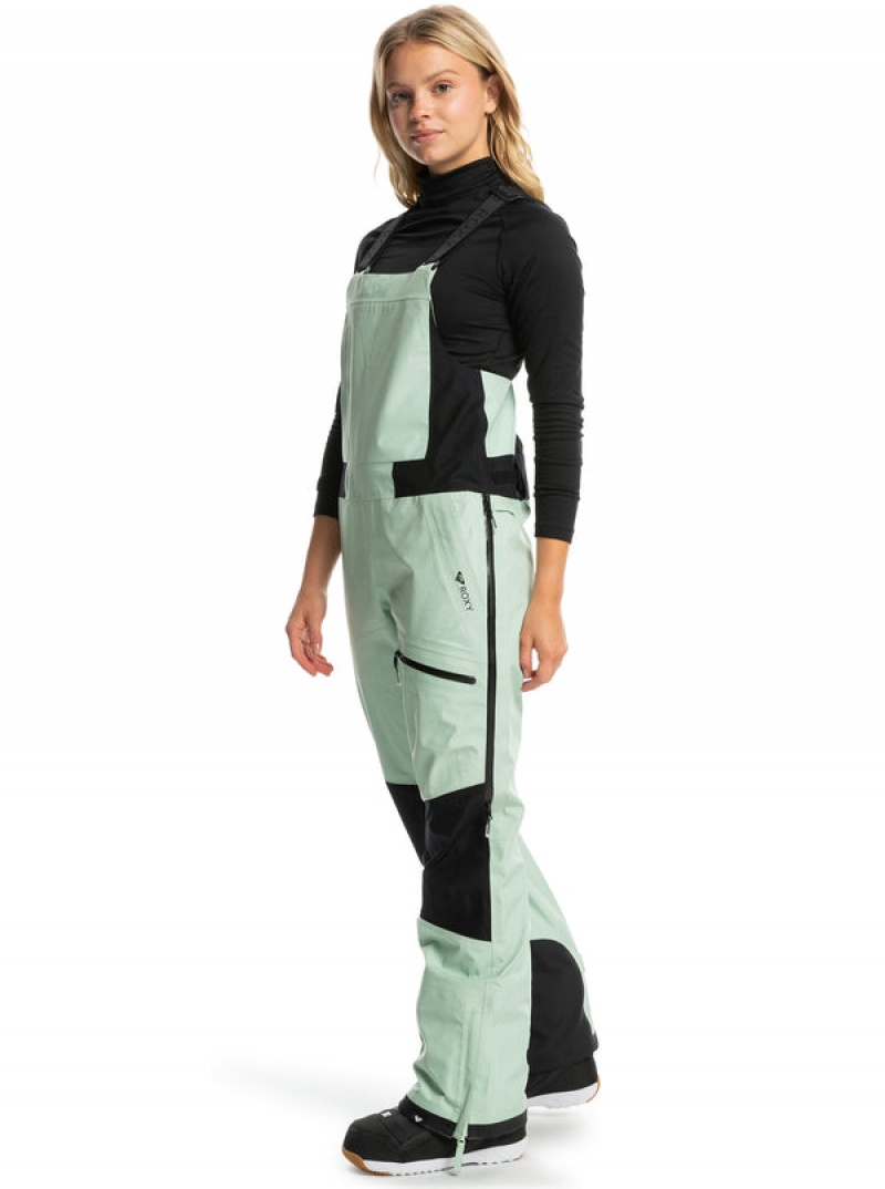 Snowboardové Kalhoty Roxy GORE-TEX® Lunalite 3L Technical Bib | LTNX-26034