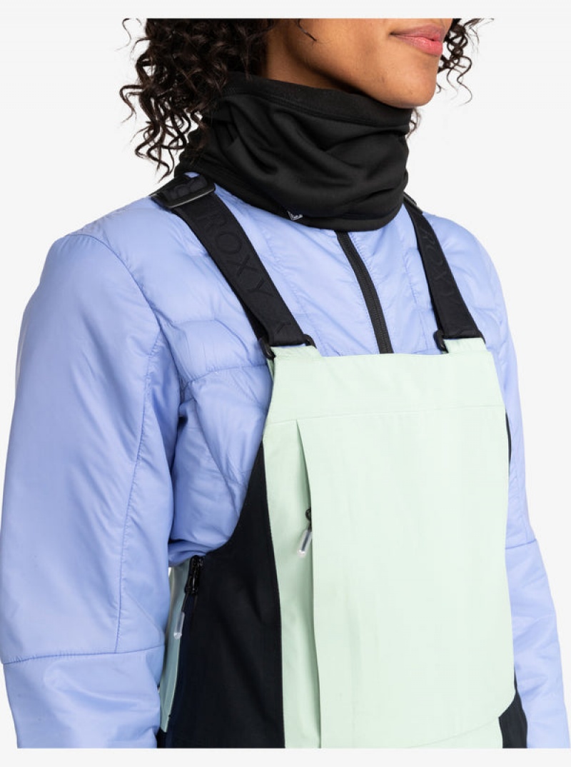 Snowboardové Kalhoty Roxy GORE-TEX® Lunalite 3L Technical Bib | LTNX-26034