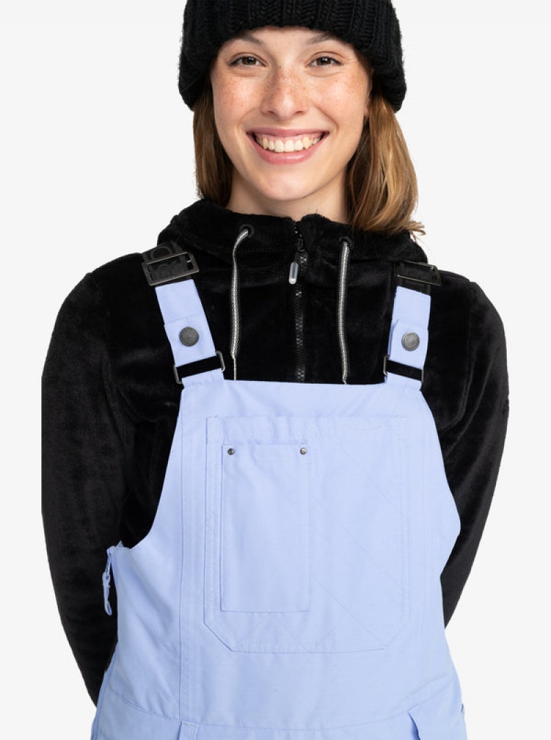 Snowboardové Kalhoty Roxy Rideout Technical Bib | XFHA-39648